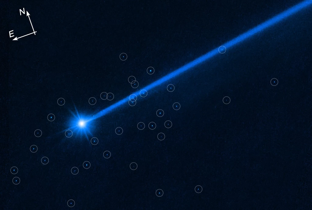 Obraz przedstawia asteroidę Dimorphos, kółkami zaznaczone zostały śledzone przez Hubble'a głazy.