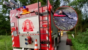 Dramatyczna akcja strażaków. Uratowali trzy topiące się konie