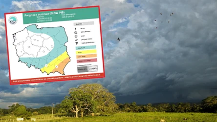 W dużej części Polski we wtorek będzie ulewnie i burzowo. Na południu możliwe burze z gradem. Ogłoszono alerty IMGW pierwszego i drugiego stopnia