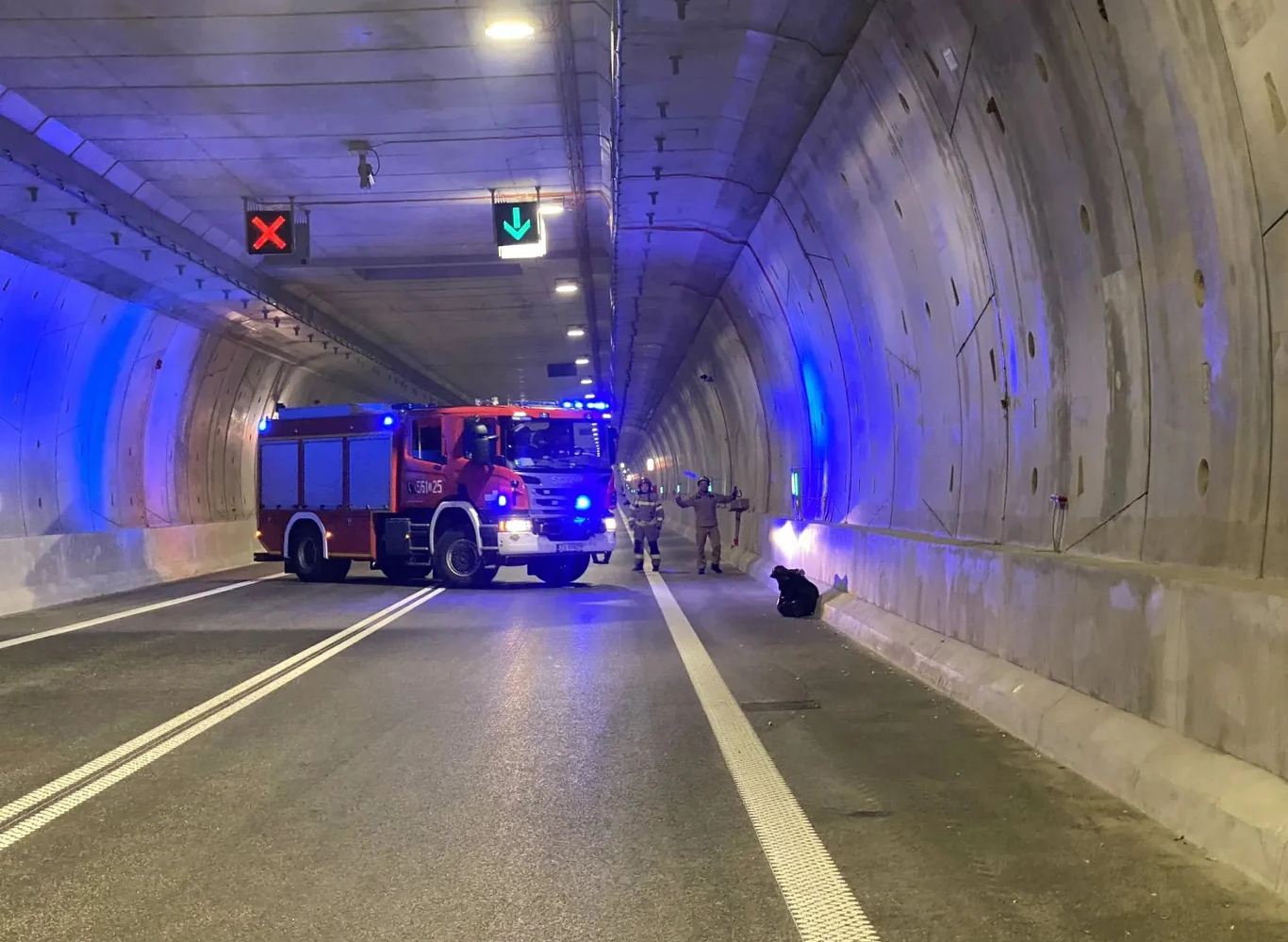 Przegląd techniczny nowego tunelu pod Świną wywoła utrudnienia w ruchu Przegląd techniczny nowego tunelu pod Świną wywoła utrudnienia w ruchu