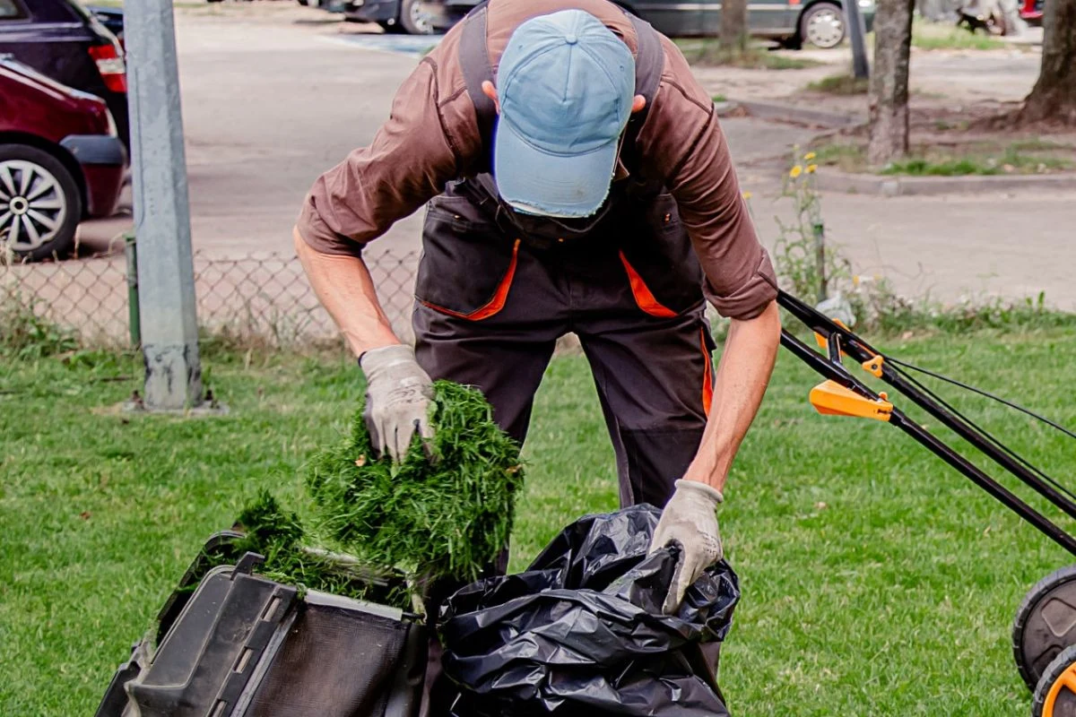 Nie spisuj skoszonej trawy na straty. Zrobisz z niej m.in. gnojówkę do podlewania tui
