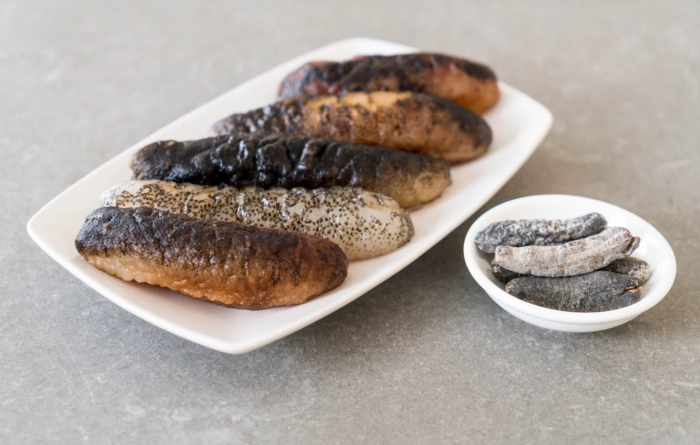 Ogórek morski na talerzu. To skarbnica cennych witamin