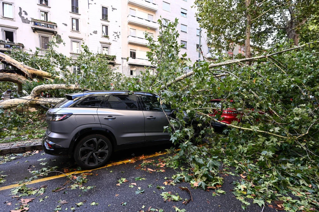 Mediolan. Powalone przez burzę drzewa zatarasowały wiele dróg. Transport w mieście jest utrudniony