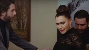 "Zakazany owoc" streszczenie odcinka 272 i 273. Radosne świętowanie w gronie rodziny i przyjaciół zostaje przerwane przyjazdem policji. Ender i Yildiz zostają aresztowane.