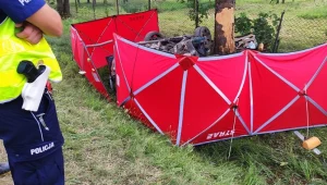 Bmw uderzyło w przydrożne drzewo. Mężczyzna zginął na miejscu