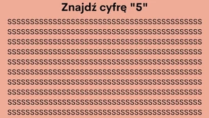 Test na spostrzegawczość. Znajdziesz cyfrę „5” w mniej niż 10 sekund?