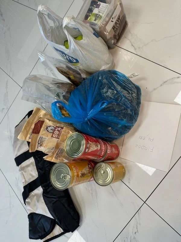 Paczka żywnościowa Aleksandry Szafrańskiej dla psów. Paczka żywnościowa Aleksandry Szafrańskiej dla psów.