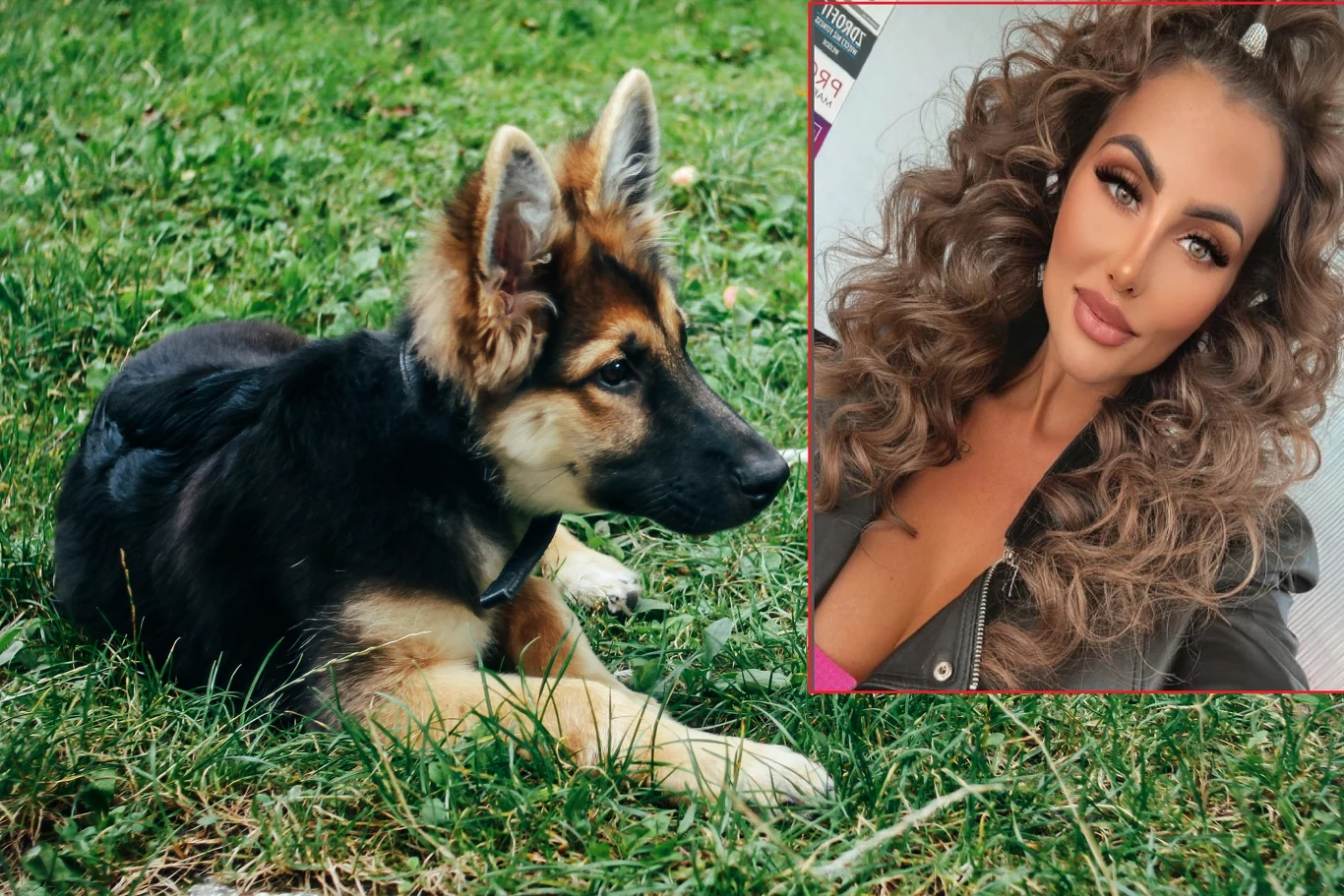 Wersja zdarzeń podawana przez celebrytkę rozmija się w wersją schroniska. Sprawą zajmie się sąd Wersja zdarzeń podawana przez celebrytkę rozmija się w wersją schroniska. Sprawą zajmie się sąd