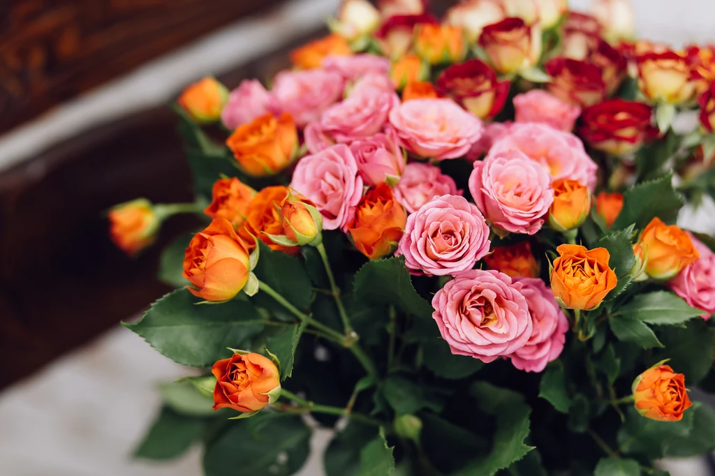 Okazały, pięknie pachnący bukiet świeżych róż to jeden z prawdziwych symboli trwającego lata