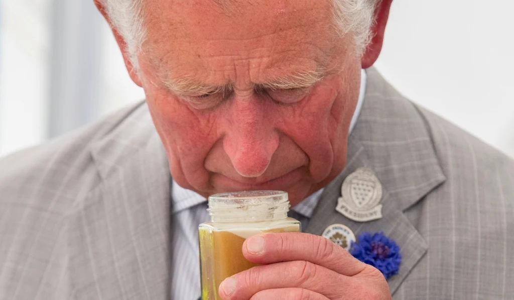 Król Karol III Król Karol III