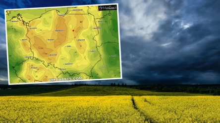 Antycyklon Ilse w czwartek przyniesie poprawę pogody w Polsce, jednak lokalnie będą też deszcze i burze