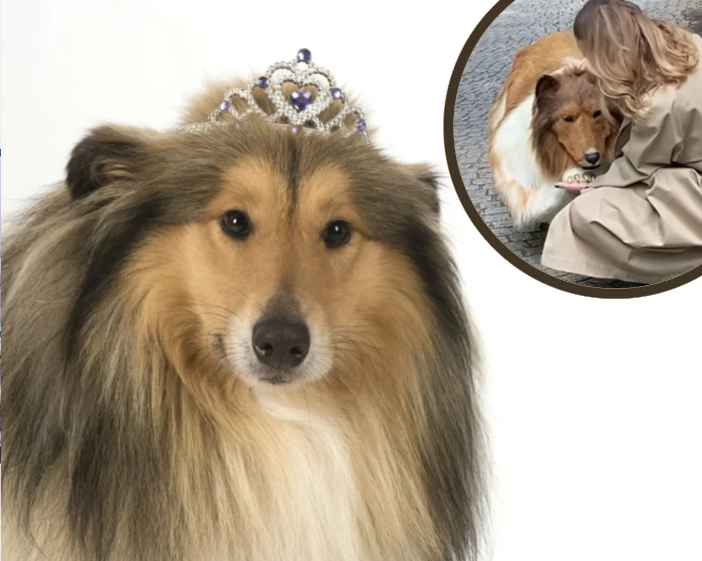 Japończyk wydał fortunę, by upodobnić się do psa/instagram.com/toco.ev