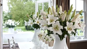 W ten sposób przedłużysz świeżość lilii w wazonie. Polecają go floryści