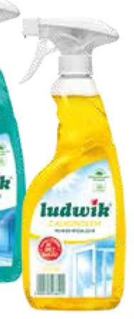 Płyn do mycia szyb Ludwik