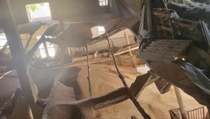 Zawalony strop w budynku gospodarczym zabił 139 świń