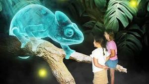 To nie jest zwykłe zoo. Wszystkie zwierzęta są tam hologramami