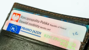 Polskie prawo jazdy za granicą. Czy można użyć tego z apki?