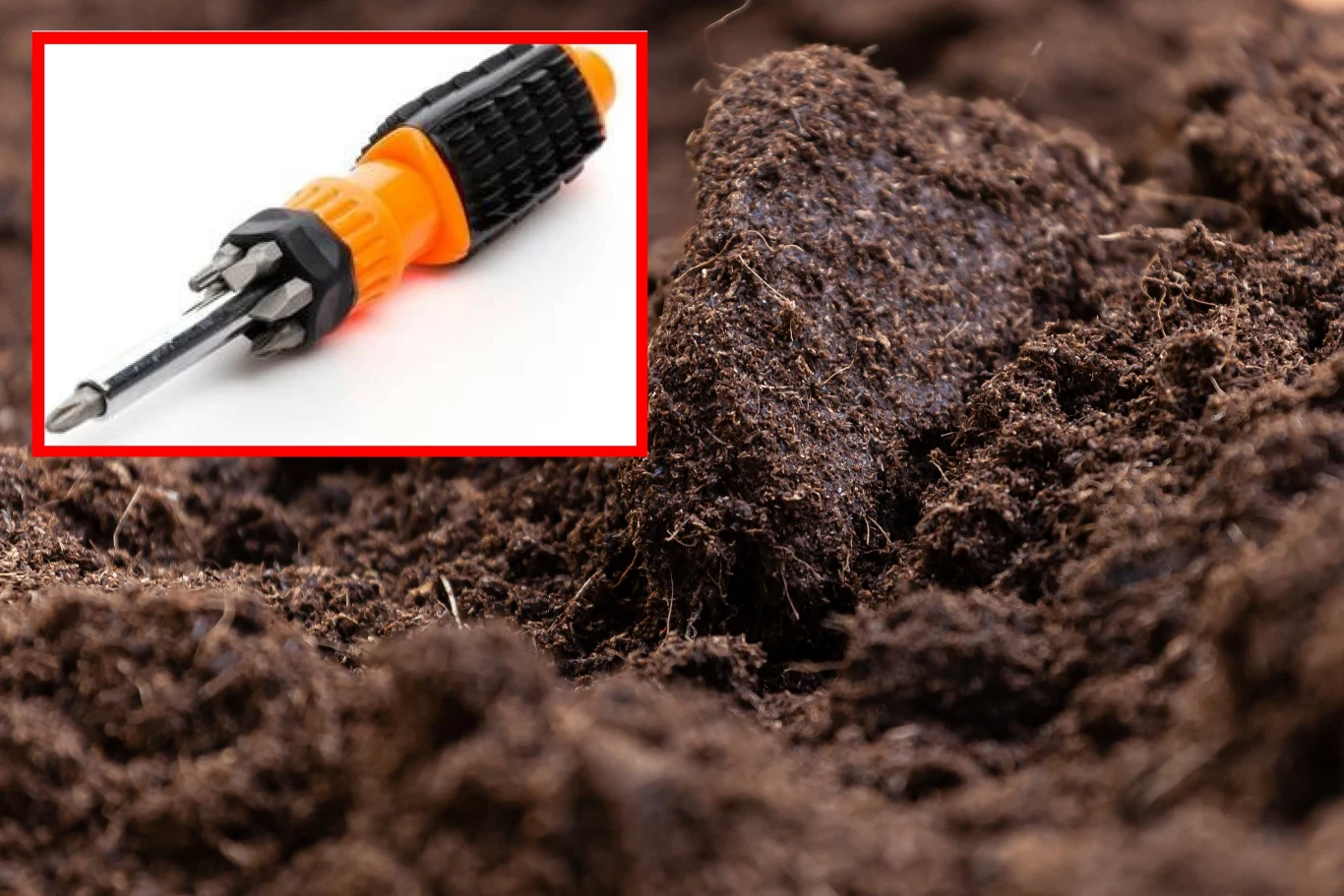 Jak wykorzystać narzędzia w ogródku? Mało kto wie, o tym zastosowaniu śróbokręta Jak wykorzystać narzędzia w ogródku? Mało kto wie, o tym zastosowaniu śróbokręta