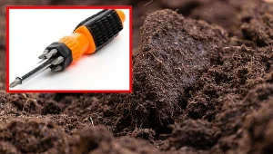 Wbij w ziemię pewnym ruchem. "Test śrubokręta" uratuje suchy i pożółkły trawnik
