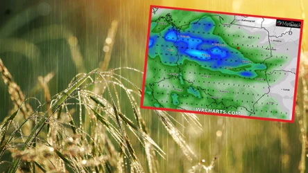 W sobotę prognozowane są deszcze i burze w większości Polski. Lokalnie może też padać grad