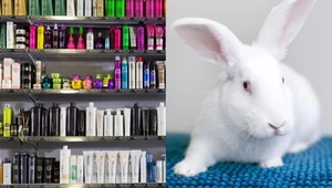 Producenci kosmetyków działający na terenie Unii Europejskiej muszą się szykować na kolejne zmiany. Komisja Europejska chce załatać przepisy zakazujące testów na zwierzętach i zadbać o to, aby na opakowaniach nie można było stosować "ekościemy"