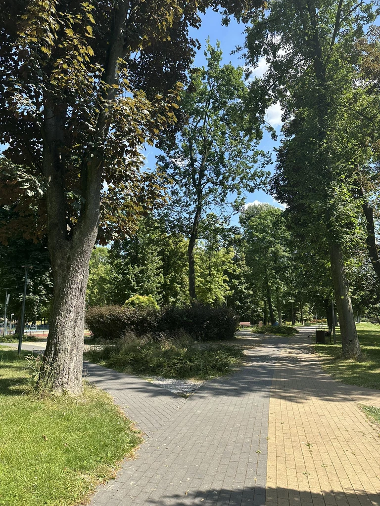 Park Miejski w Jędrzejowie