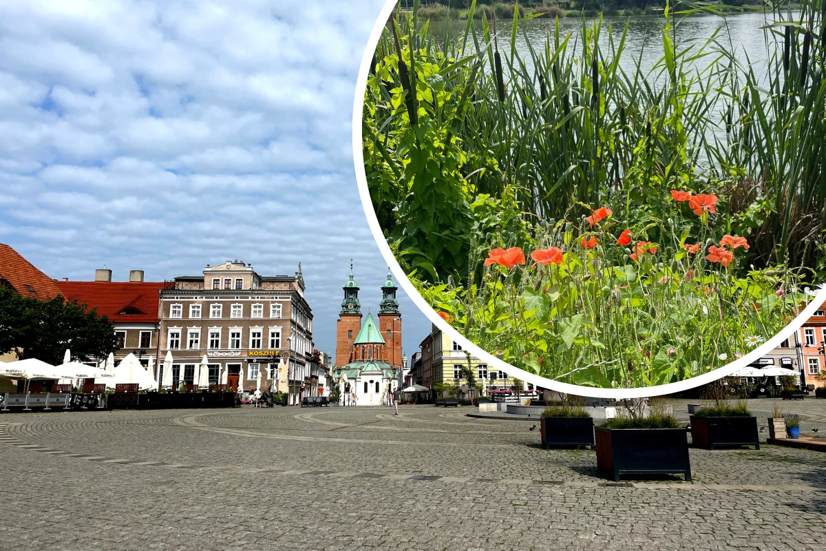 Pomiędzy zabytkami a naturą. Tak wygląda pierwsza stolica Polski Pomiędzy zabytkami a naturą. Tak wygląda pierwsza stolica Polski