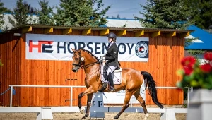 Top Dressage Talent