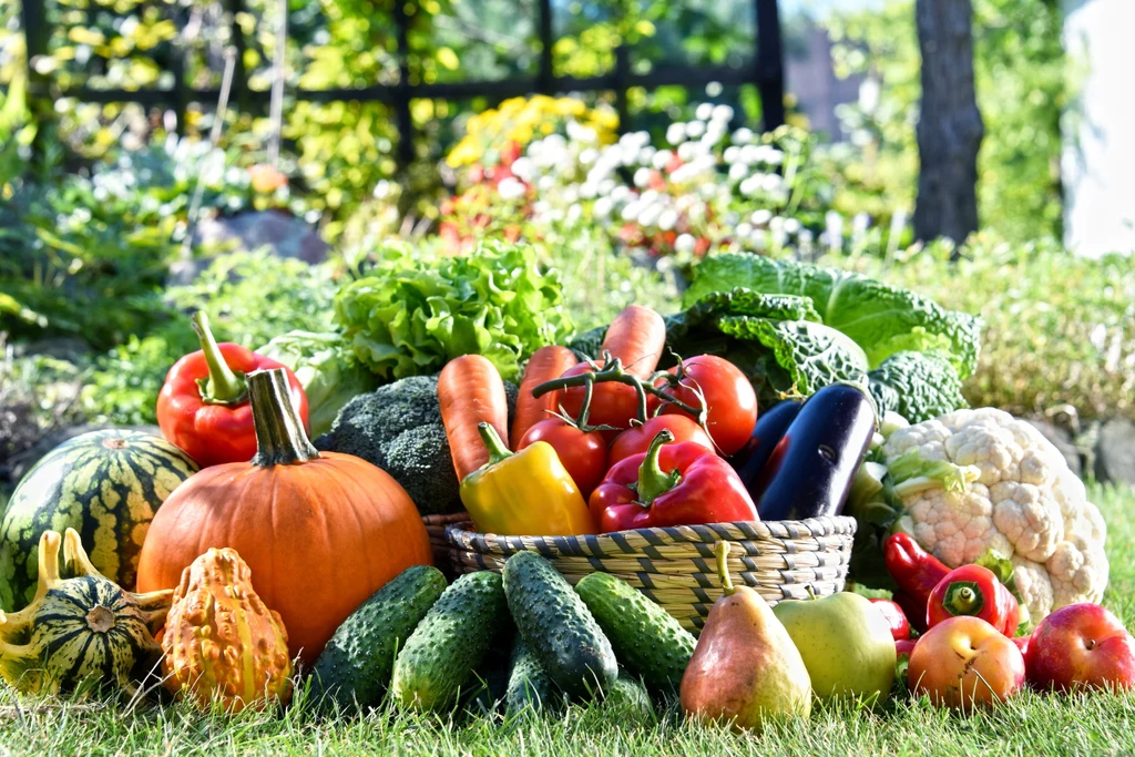Mimo że warzywa są niezwykle ważne dla naszego zdrowia, spożywamy ich za mało 