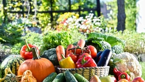 Jak zwiększyć w diecie ilość spożywanych warzyw?