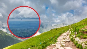 To zdjęcie robi wrażenie. Niezwykle rzadki widok