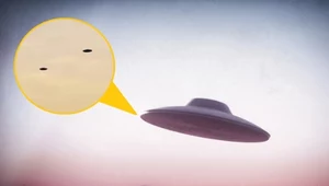 USA: Fala obserwacji i filmów z obiektami UFO. Czy nagrania są prawdziwe?