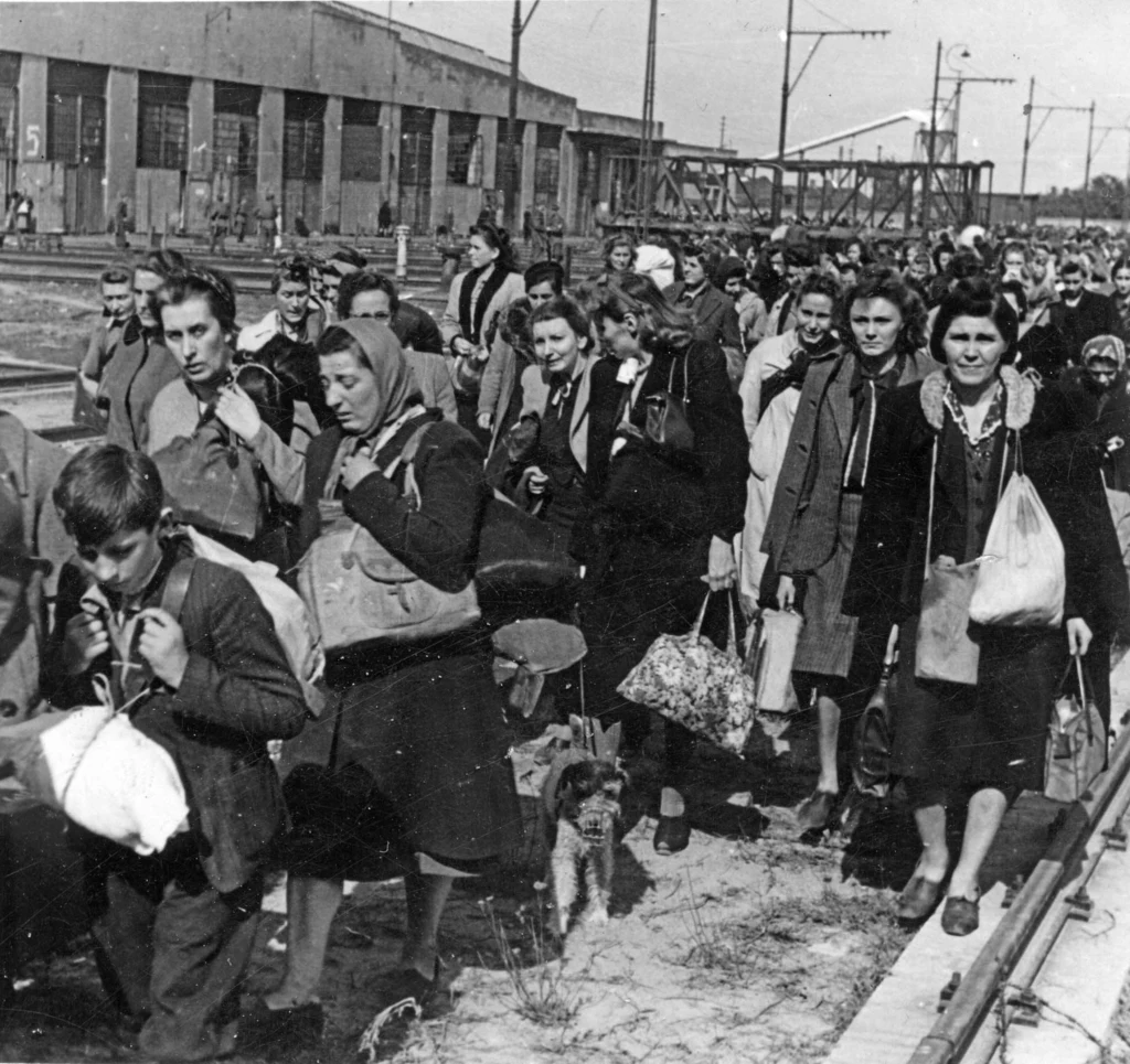 Ludność cywilna z Warszawy w obozie przejściowym Dulag 121 w Pruszkowie, wrzesień–październik 1944 r. 