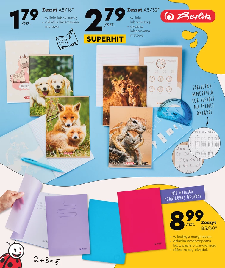 leaflet page preview image