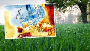 Jesień w sierpniu? Mało optymistyczna prognoza