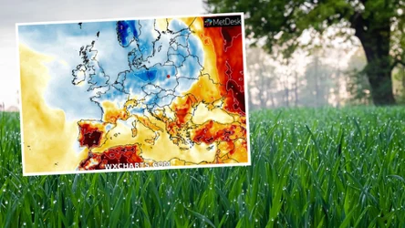 W sierpniu będzie wyraźnie chłodniej niż w lipcu. Należy się też spodziewać ulewnego deszczu