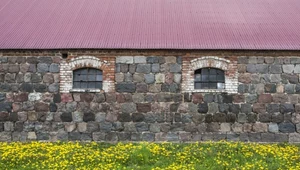 Dzięki "lex silos" parterowy budynek gospodarczy o powierzchni do 150 m2 można wznieść bez zgłaszania tego do urzędu