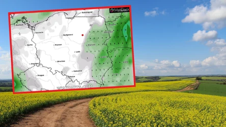 Pogoda w środę będzie bardziej słoneczna. Niewielkie deszcze pojawią się w kilku regionach kraju