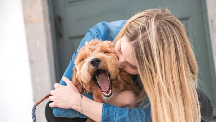 Jak poznać, że pies jest szczęśliwy?