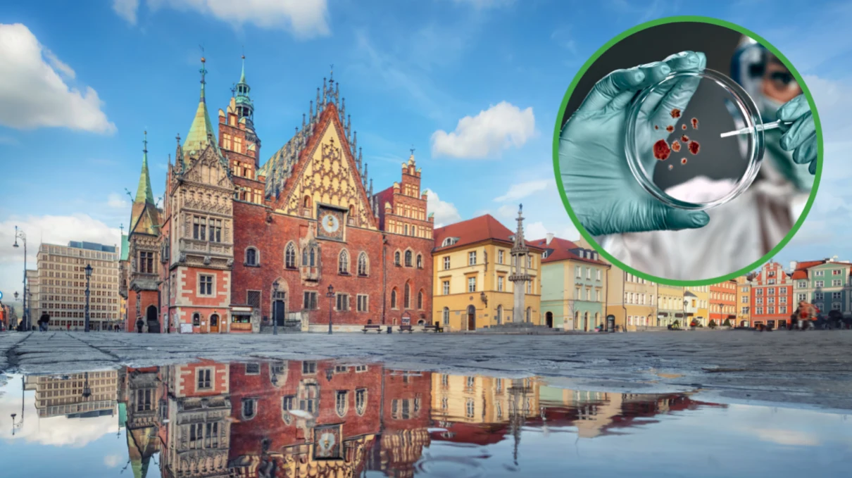 We Wrocławiu odkryto nowy gatunek grzyba (zdjęcia ilustracyjne) We Wrocławiu odkryto nowy gatunek grzyba (zdjęcia ilustracyjne)