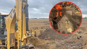 Psy utknęły w kanale melioracyjnym. Straż pożarna wkroczyła do akcji