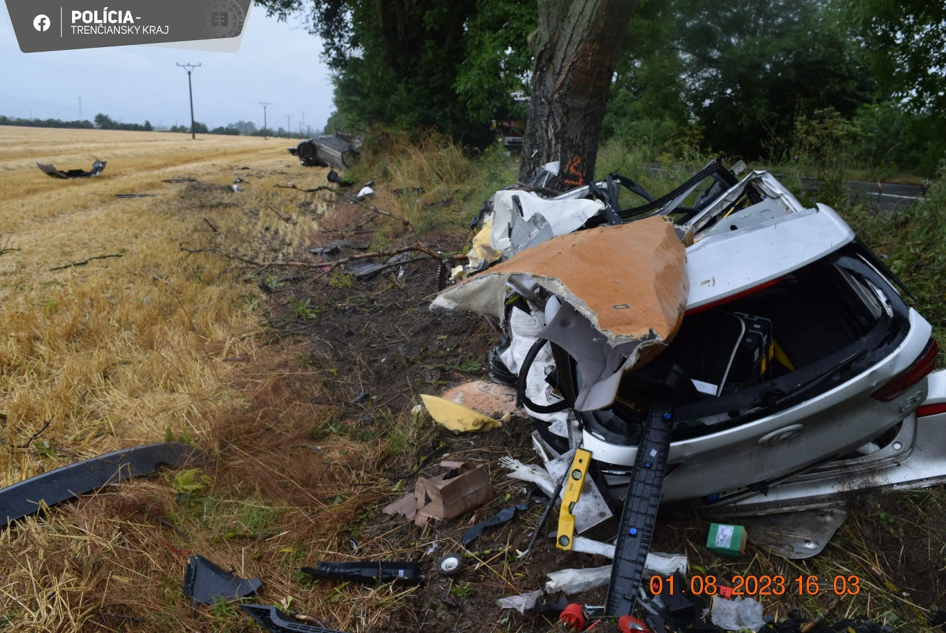 Niecodzienny wypadek na Słowacji nieopodal Nowego Miasta nad Wagiem/ fot. słowacka Policja