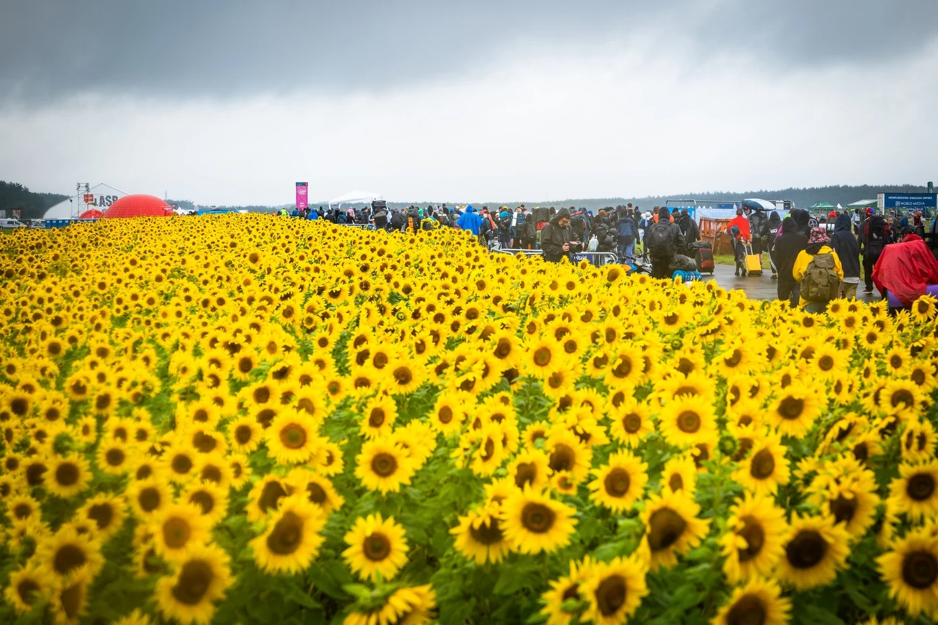 Pierwsi festiwalowicze są już na miejscu Pol'and'Rock Festival 2023