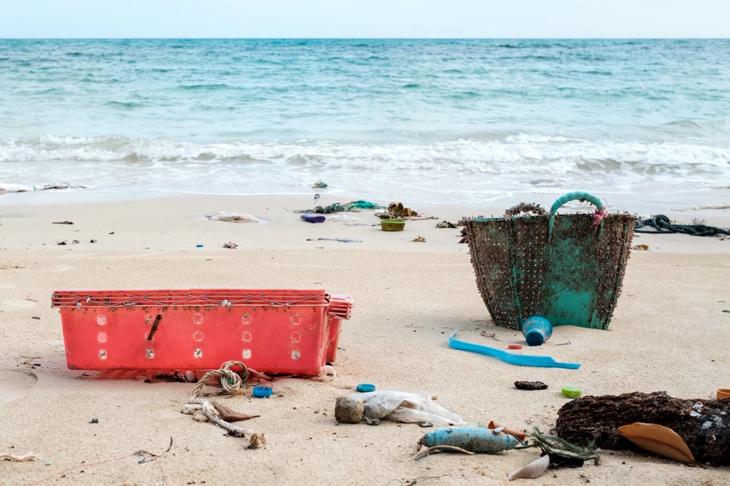 Odpady nad morzem to wielki problem