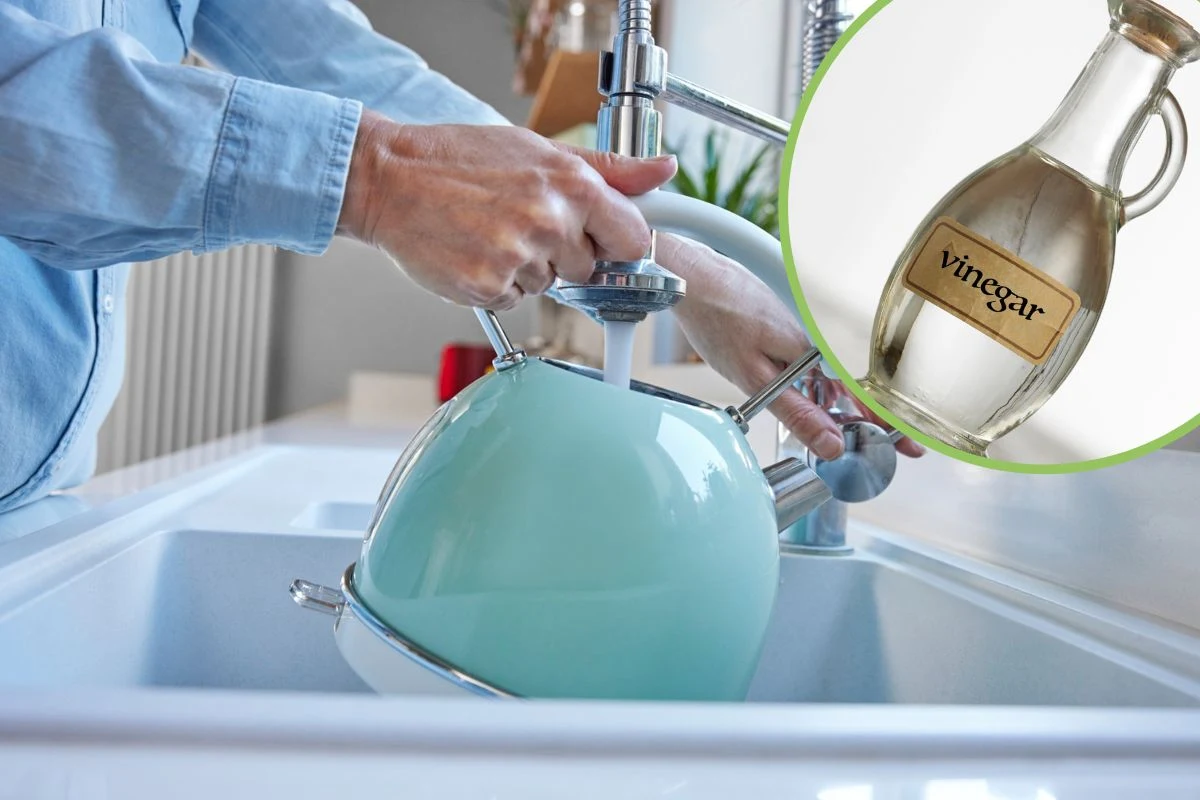 Ocet rozprawi się z warstwą kamienia w czajniku