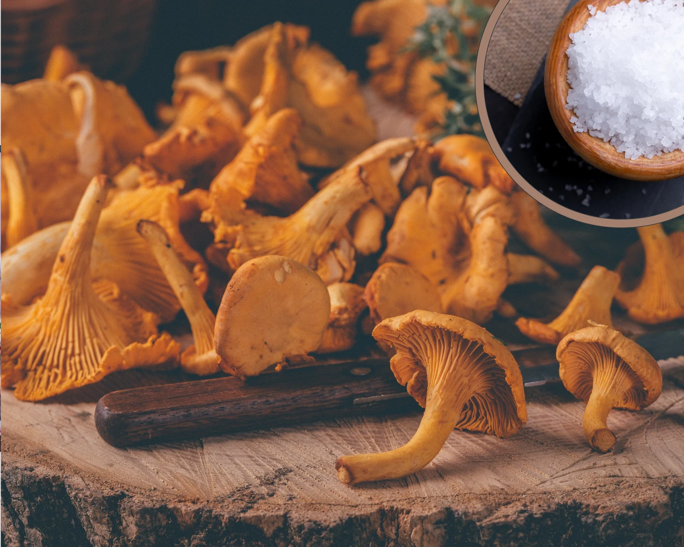 Czyszczenie kurek z piasku i ziemi to czasochłonne zajęcie. Na szczęście są na to skuteczne, proste sposoby