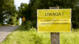 Topilec Oznaczenie terenu zapowietrzonego i zagrożonego pomorem drobiu, Wojewodztwo Podlaskie