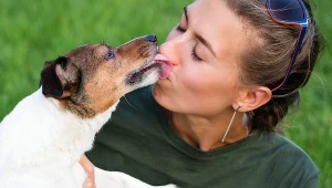 Całujesz psa? Lekarz łapie się za głowę. Sprawdź, czym to grozi 