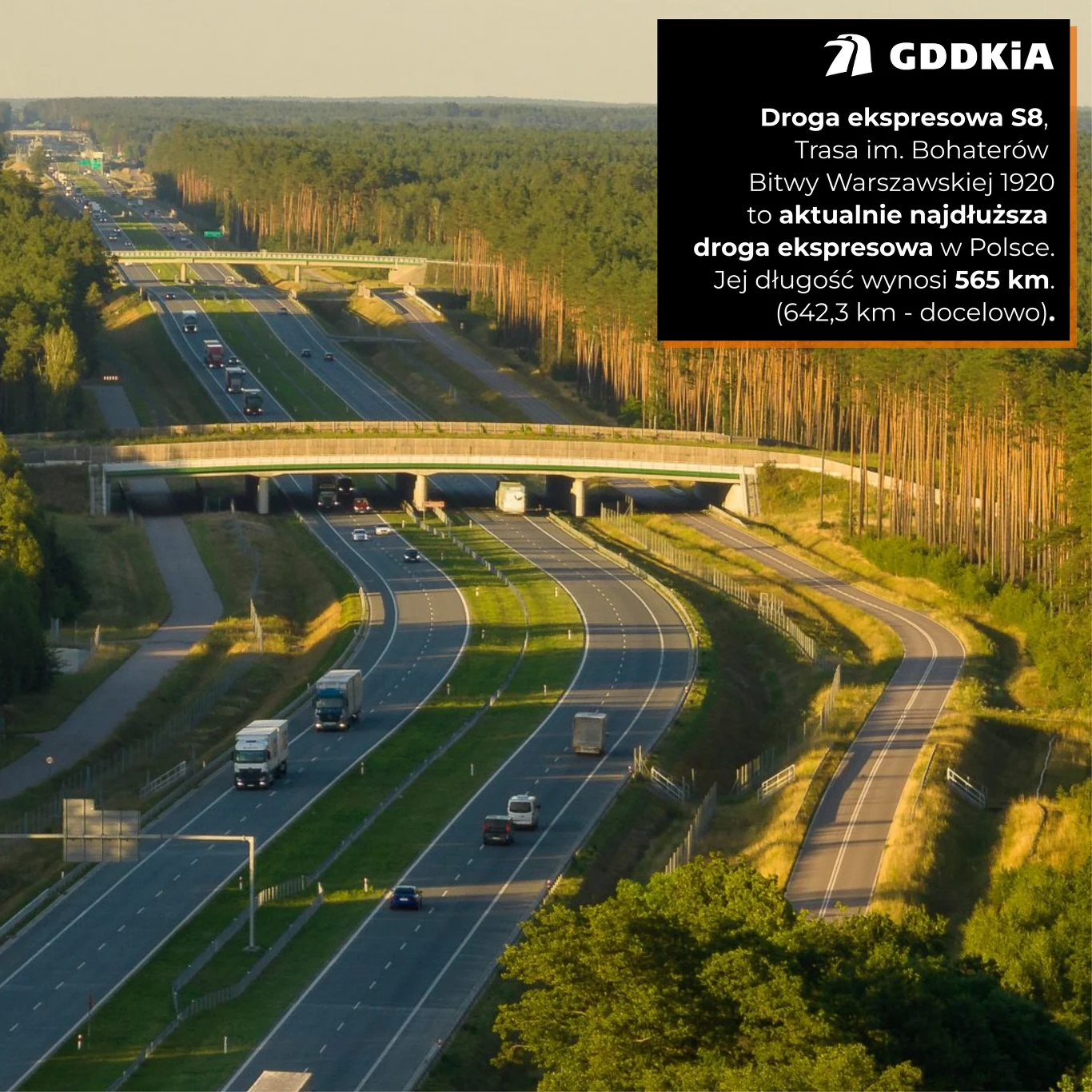 Ciekawostki z naszych dróg. Tego nie wiedziałeś o drogach w Polsce