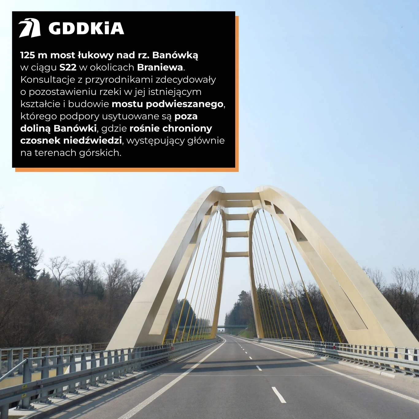 Ciekawostki z naszych dróg. Tego nie wiedziałeś o drogach w Polsce